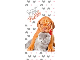 Gyerek strandtörölköző Legjobb barátok II