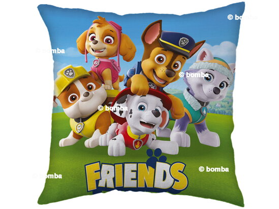 Gyermek párna Paw Patrol Friends